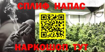 ешки Краснодар